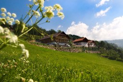 B&B + Ferienwohnungen auf dem Bauernhof Wargerhof