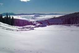 Malga Möltner Kaser