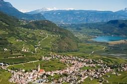Tourist board Termeno / Tramin