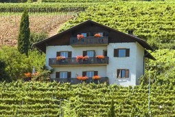 B&B auf dem Bauernhof Hanspeterhof
