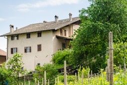 B&B + Ferienwohnungen auf dem Bauernhof Nussbaumerhof