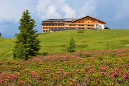 Hotel Schwarzhorn