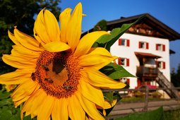 Appartamenti in agriturismo Wastlhof