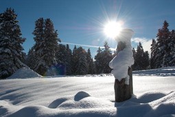 Tourist board Aldino - Redagno - Passo Oclini