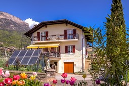 B&B + Appartamenti in agriturismo Haus Micheli