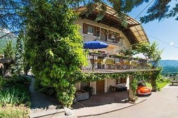 B&B + Ferienwohnungen auf dem Bauernhof Zur Traube