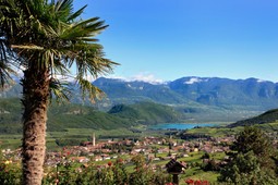 Tourist board Caldaro al lago/Kaltern am See