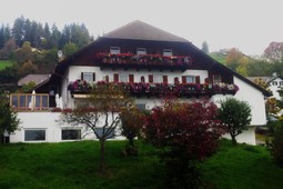Gasthof (Small hotel) Mesnerwirt