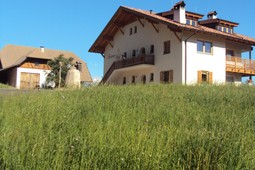 Farmhouse apartments Trotnerhof
