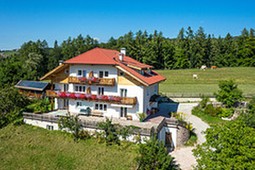 Farmhouse apartments Untertrotnerhof