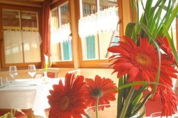 Restaurant Alpino