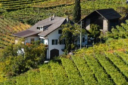 Ferienwohnungen auf dem Bauernhof Untermoserhof