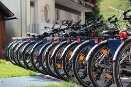 Noleggio bici Martin Trojer