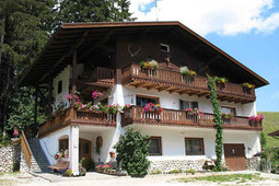 Camere + Appartamenti Scoiattolo