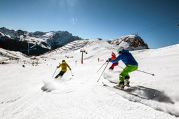 APT Val di Fassa