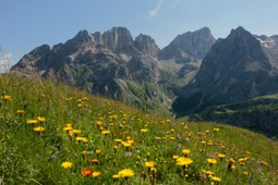 APT Val di Fassa