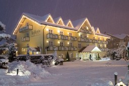 Hotel AlpHoliday Dolomiti