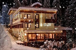 Hotel Caminetto