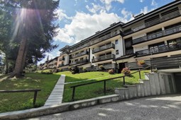 Immobilienagentur AlpenSole - Folgarida