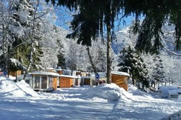 Campeggio Val di Sole