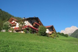 Farmhouse apartments Wiednerhof