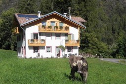 B&B in agriturismo Sole Levante