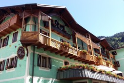 Hotel Alpina