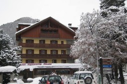 Hotel Pineta