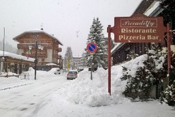 Restaurant and Pizza Piccadilly