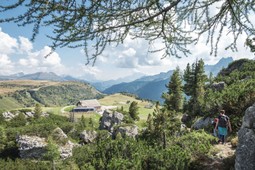 Mountain hut with rooms Bec de Roces