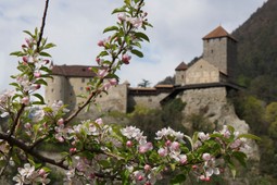 Castello Tirolo