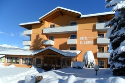 Hotel Al Larice