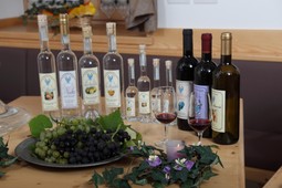 B&B in agriturismo Al Canyon
