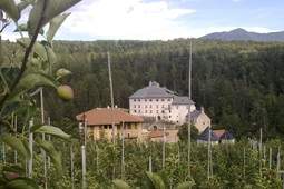 B&B auf dem Bauernhof Coryletum - Bosco di Noccioli