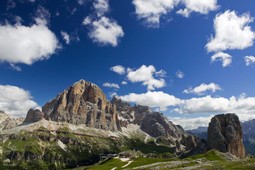 Consorzio Delicious Cortina