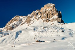 Consorzio Delicious Cortina