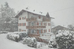 Farmhouse apartments Il Granello