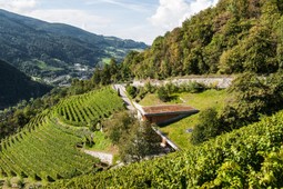 Winery Garlider