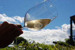 Winery Pardellerhof