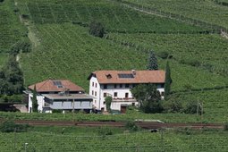 Winery Pfannenstielhof