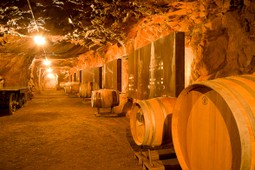 Wine Cellar Schlosskellerei Fritz Dellago