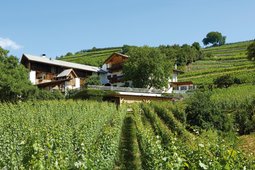 Winery Strasserhof