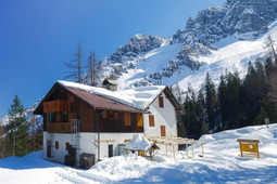 Mountain hut with rooms Giaf