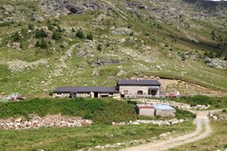 B&B in agriturismo Alpe Verva