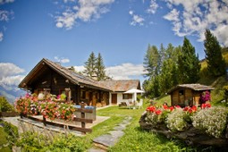 Appartamenti Chalet BeThere