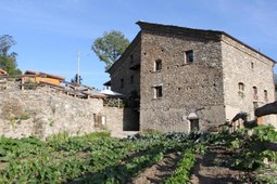 B&B auf dem Bauernhof Il noce e la strega