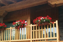 Apartments Les Racines