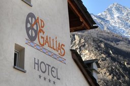 Hotel Ad Gallias