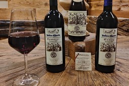 Weingut Ottavio Bianquin