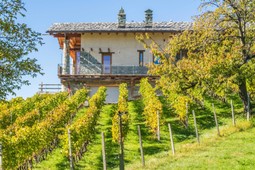 Winery Les Granges